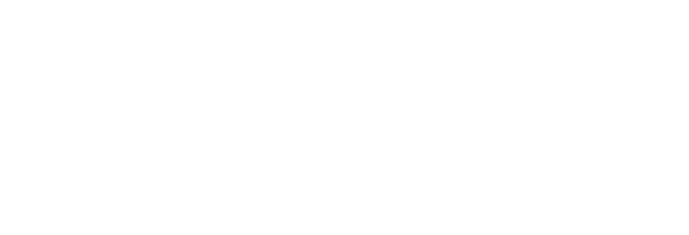 NoChip